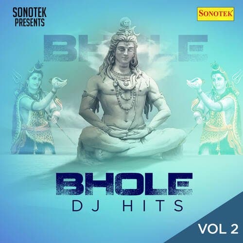 Bhole (DJ Hits) Vol. 2