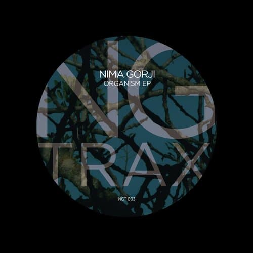 Chaotic Garden (Original Mix)