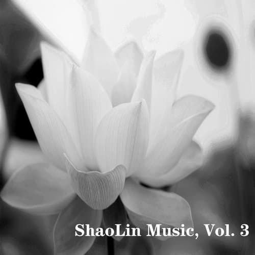 ShaoLin Music, Vol. 3
