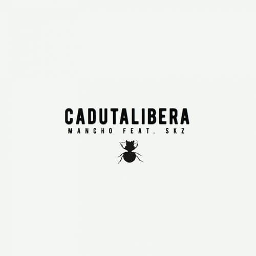 Caduta libera