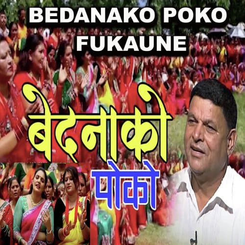 Lainchha Majjale Khayinchha Swaad Sita