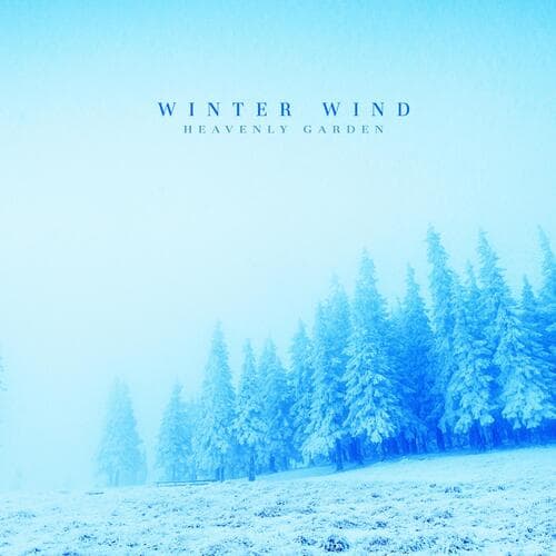 Winter Wind