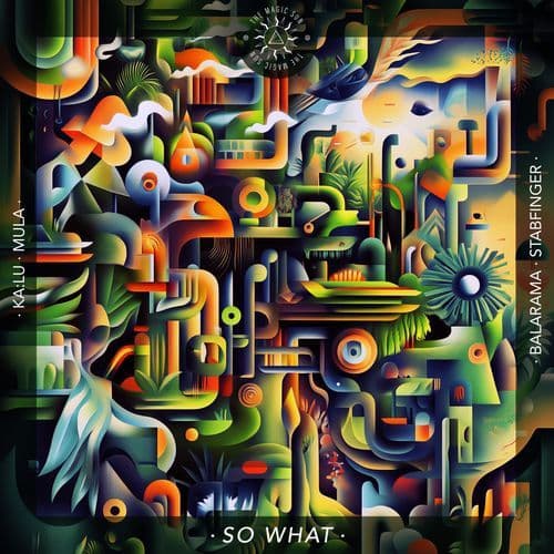 So What (Stabfinger Remix)