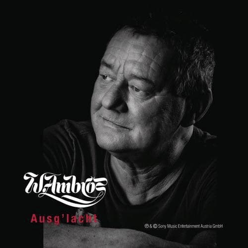 Wolfgang Ambros