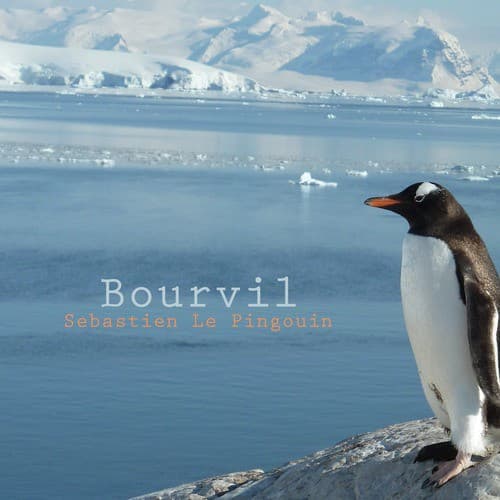 Sebastien le pingouin