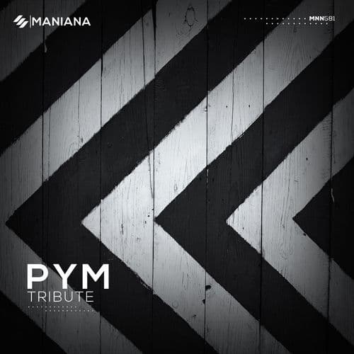 You Are Perfect (PYM Remix)