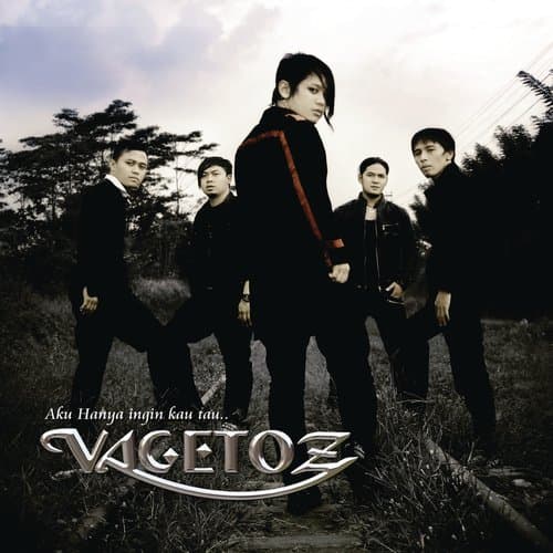 Tak Mungkin Kumiliki (Album Version)