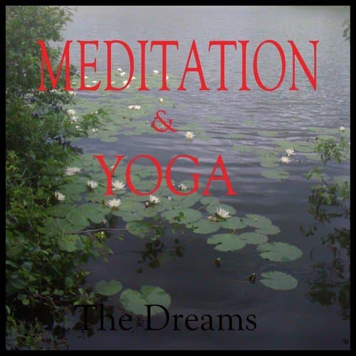 Meditation and Yoga