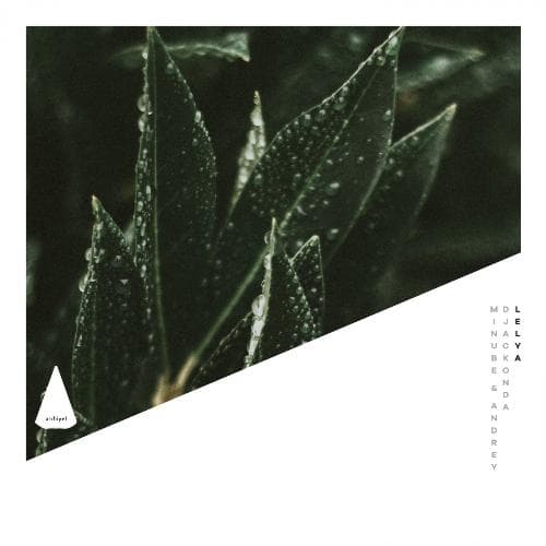 Don't Waste (Original Mix)