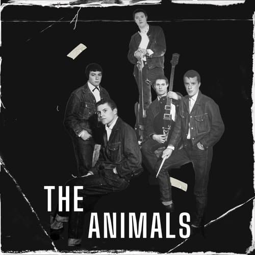 The Animals