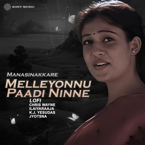 Melleyonnu Paadi Ninne (Lofi)