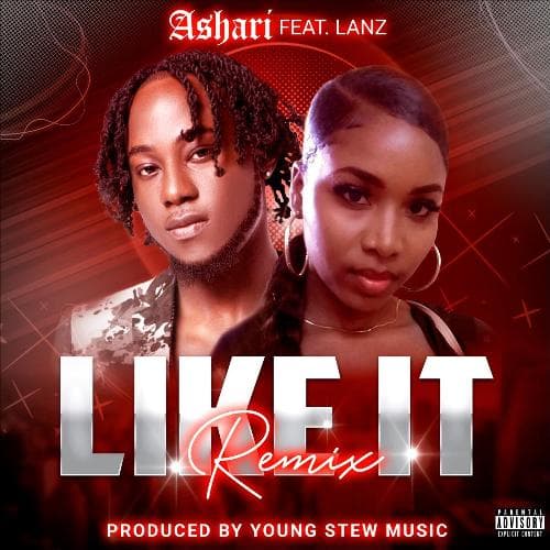 Like It (Remix) [feat. Lanz]