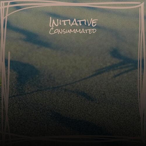 Initiative Consummated