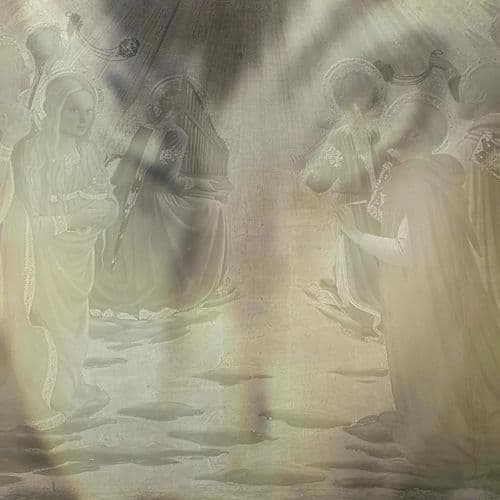 Spores 3 (Interlude)