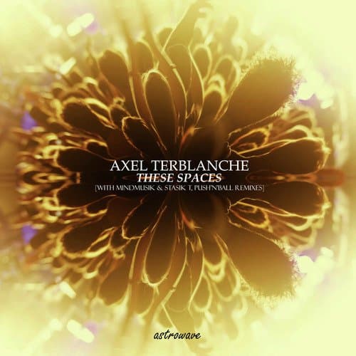 These Spaces (Push'n'Ball Remix)