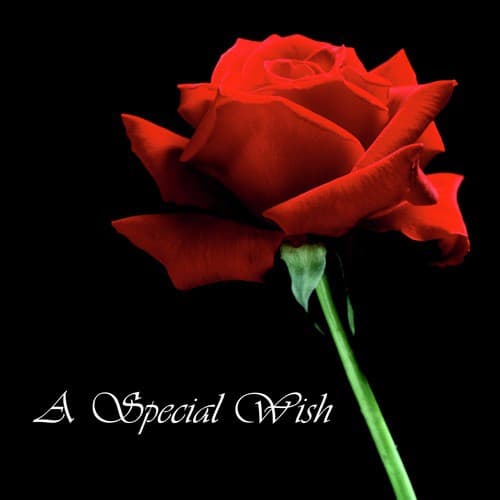 A Special Wish