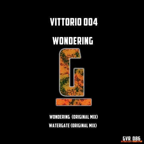 Wondering (Original Mix)