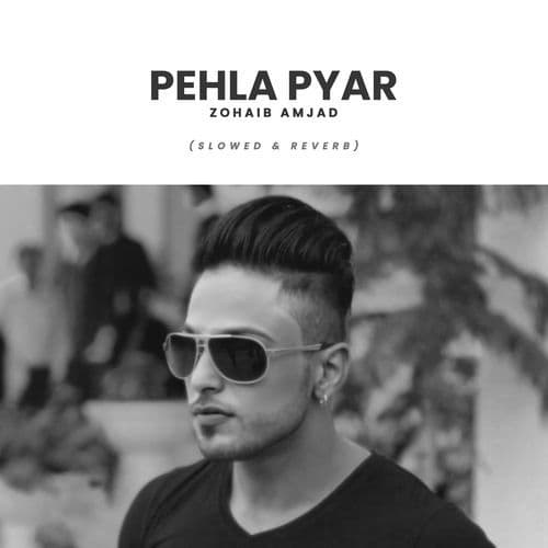 Pehla Pyar (Slowed & Reverb)