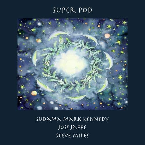 Super Pod