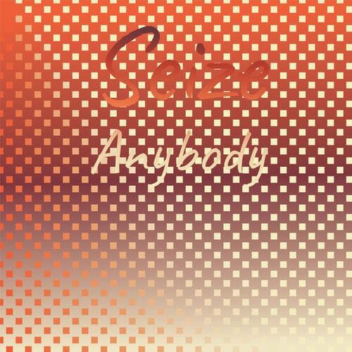 Seize Anybody
