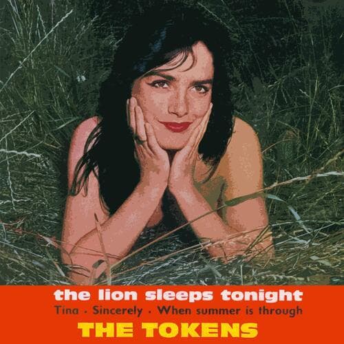 The Lion Sleeps Tonight