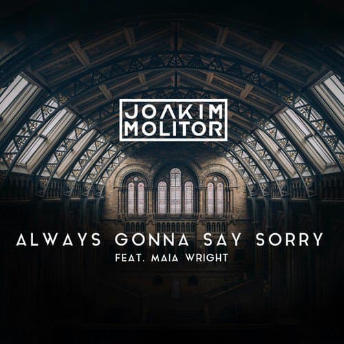 Always Gonna Say Sorry