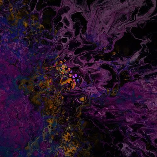 Let No Star Wear A Veil