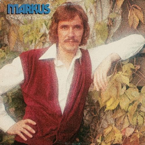 Nousee päivä ylle puiden