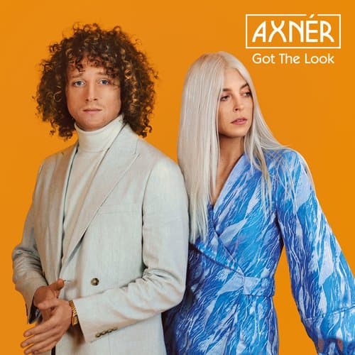 Got The Look (+ Al Kent Mixes)