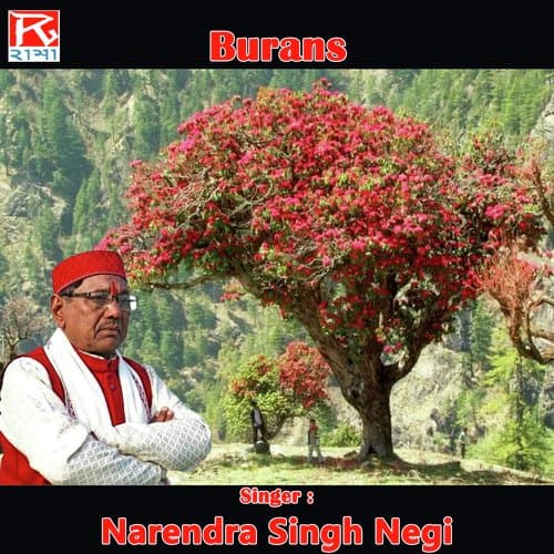 Tyaara Roop Ki Jhaul Ma