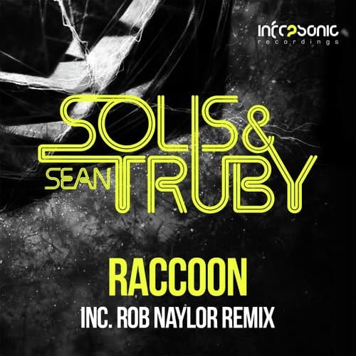 Raccoon (Original Mix)