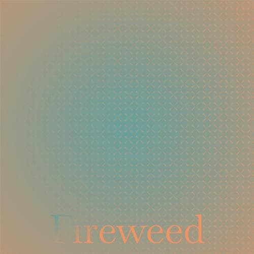 Fireweed