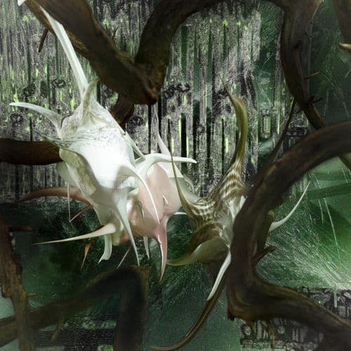 farfala dub (Warzou's Crows Skin Version)