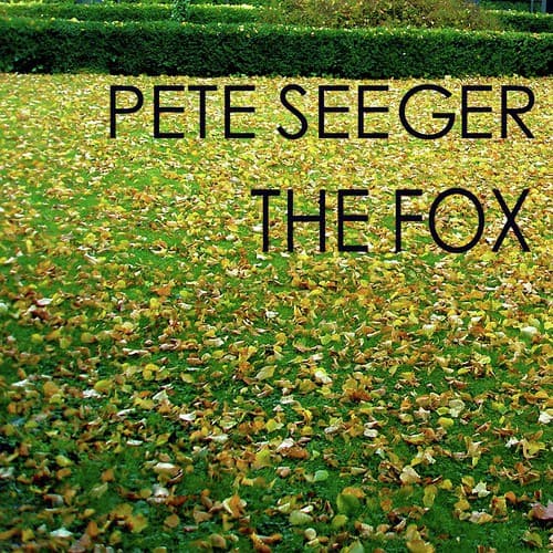 Where have All The Flowers Gone