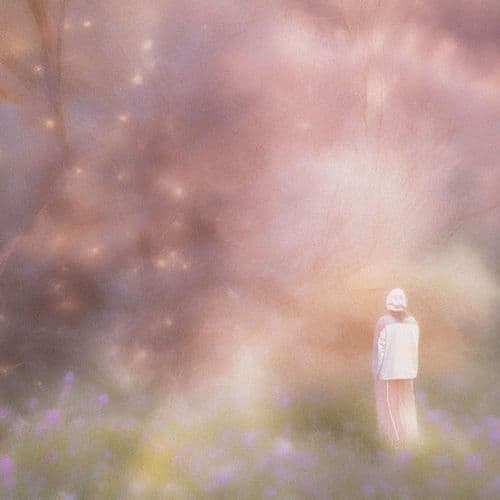 les bruits de la forêt