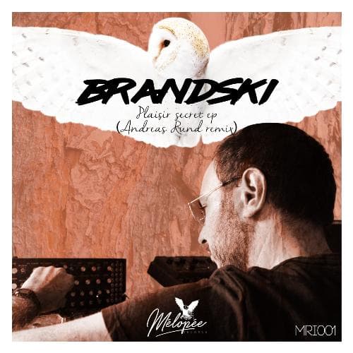 Plaisir Secret (Andreas Rund Remix)