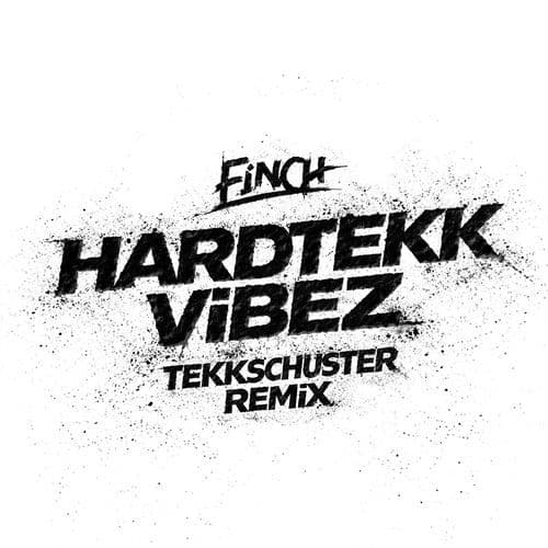 HARDTEKK ViBEZ (TekkSchuster Remix)