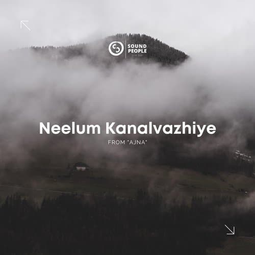 Neelum Kanalvazhiye (From "Ajna" )