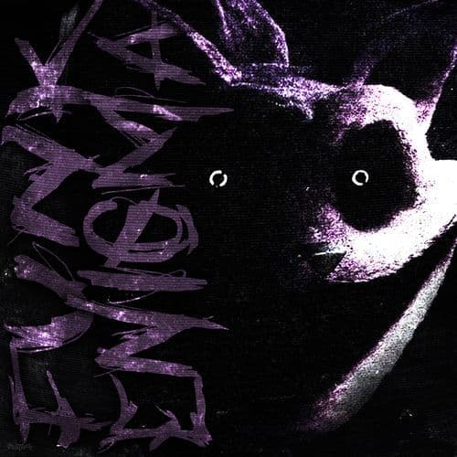 FUNK ENIGMA (slowed)