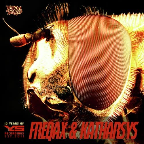 Rapture (Original Mix)