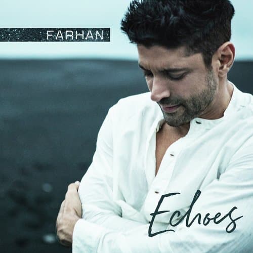 Seagull (Ash Howes Mix)