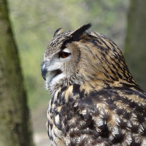 The Southern Reporter