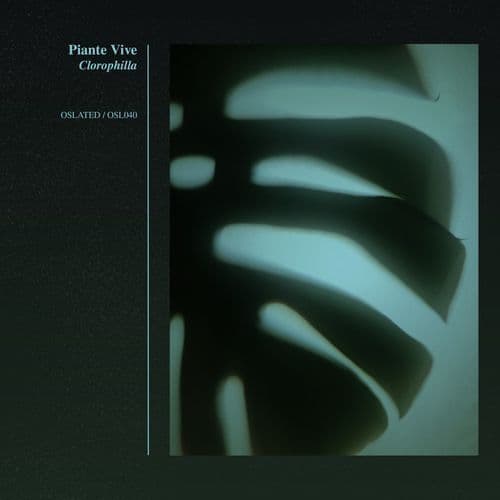 Floema (Original Mix)