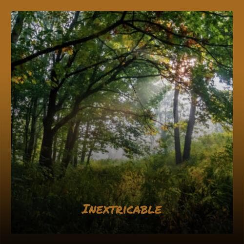 Whitethorn Terpsichore