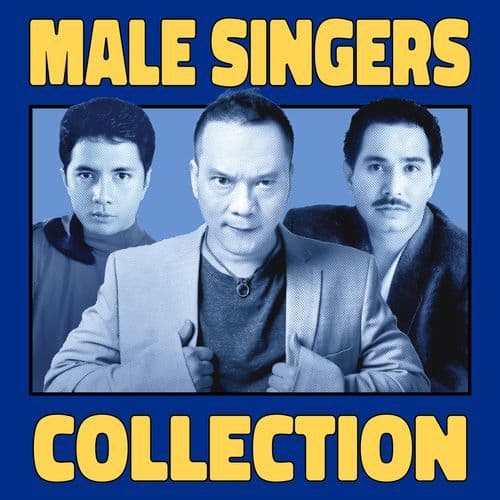 Male Singers Collection