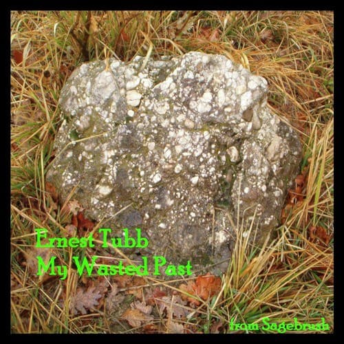 A Woman Has Wrecked Many A Good Man