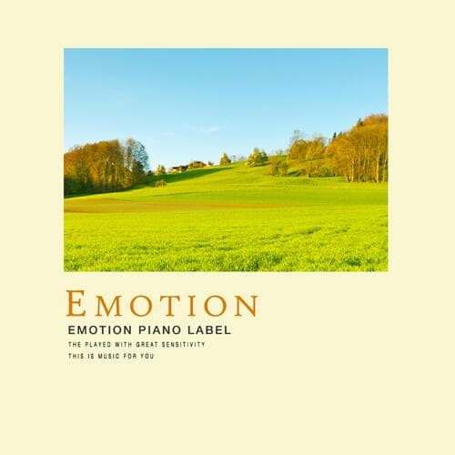 The Beautiful Sunset