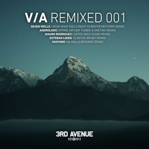 Cortex (Nico Szabo Remix)