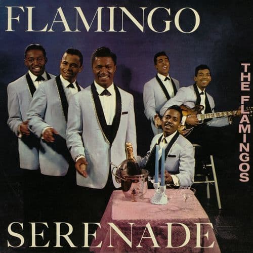 Flamingo Serenade