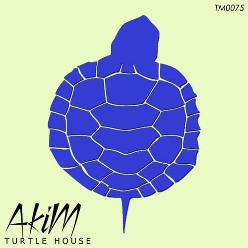 The Turtle House (Original Mix)